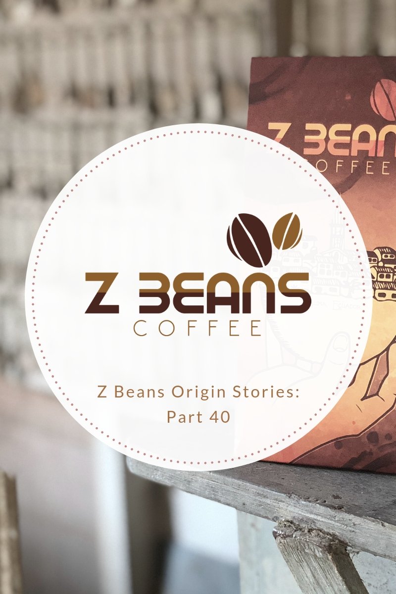 The Basement - The Z Beans Roasting Facility