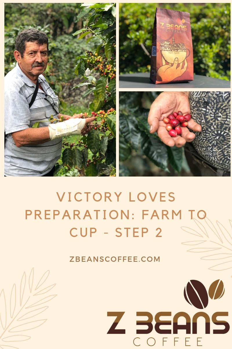Victory Loves Preparation: Farm to Cup - Step 2 Ecuadorian coffee process