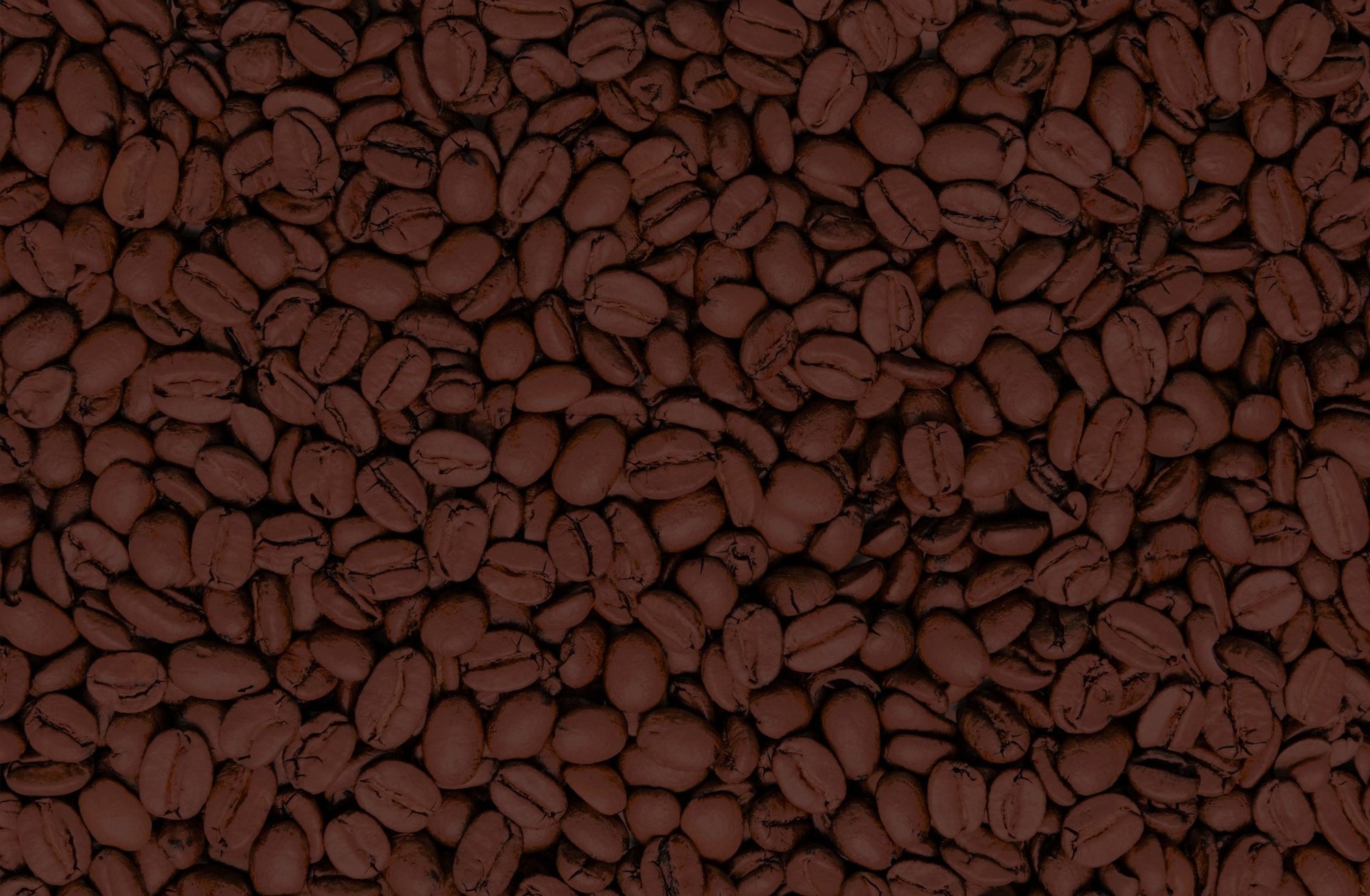 Ecuadorian Tea: Blends