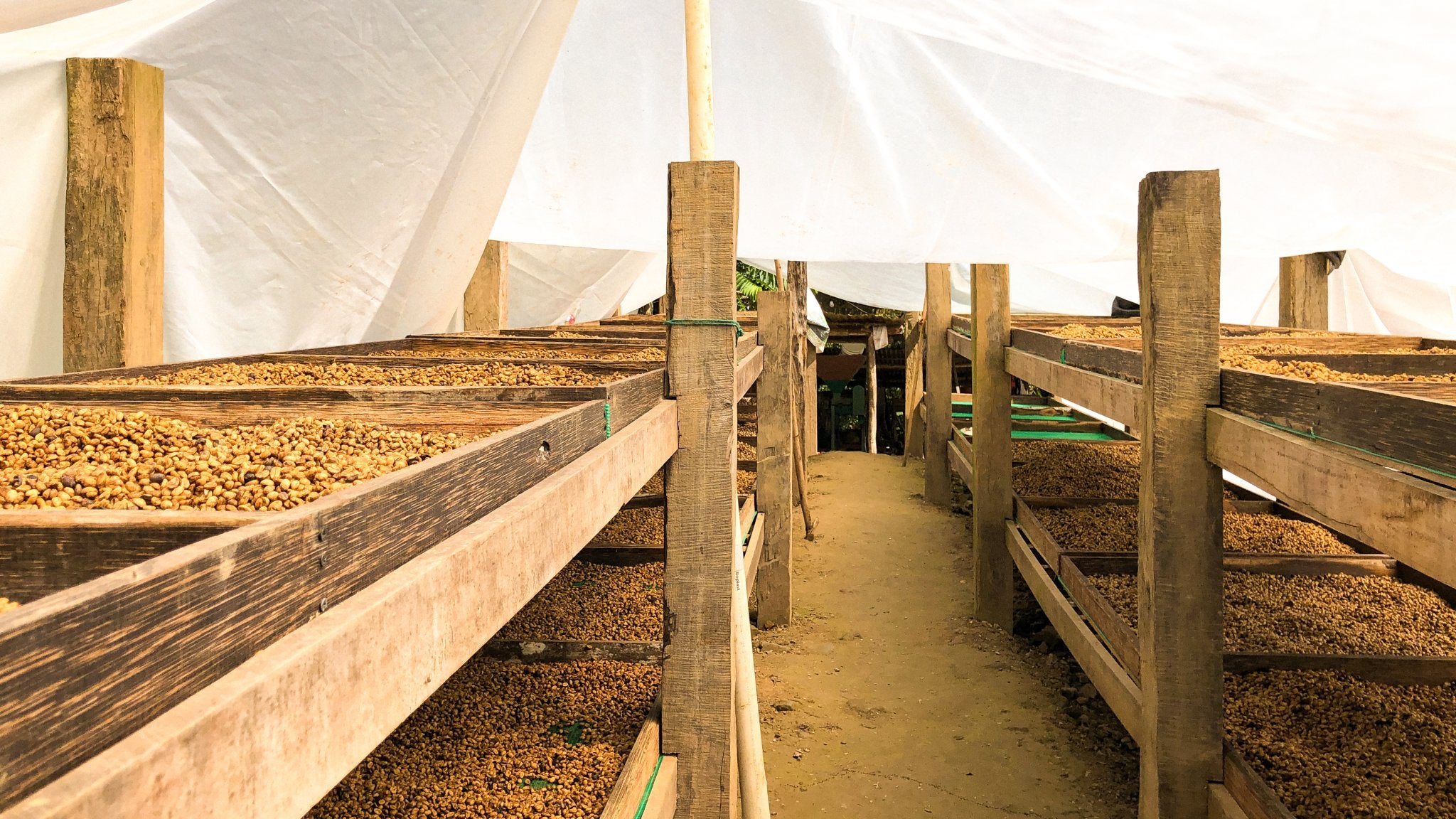 About Us Z Beans Coffee