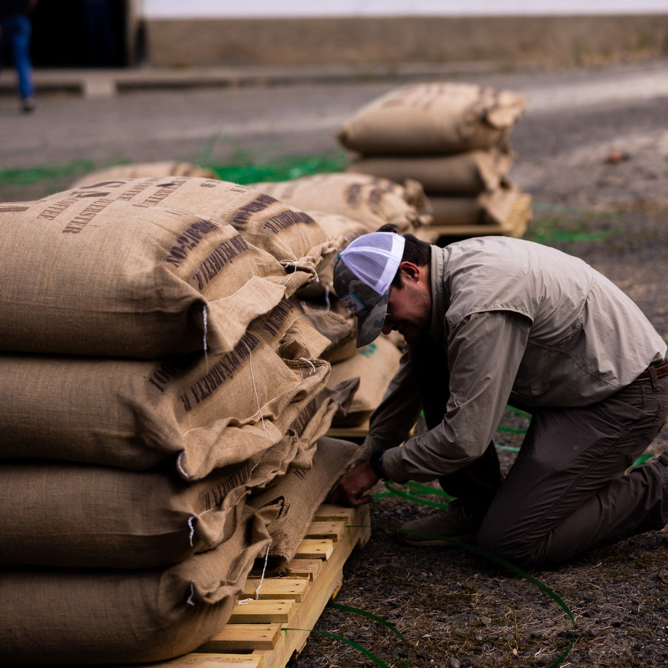 Man stacking burlap sacks on a pallet in front of a building